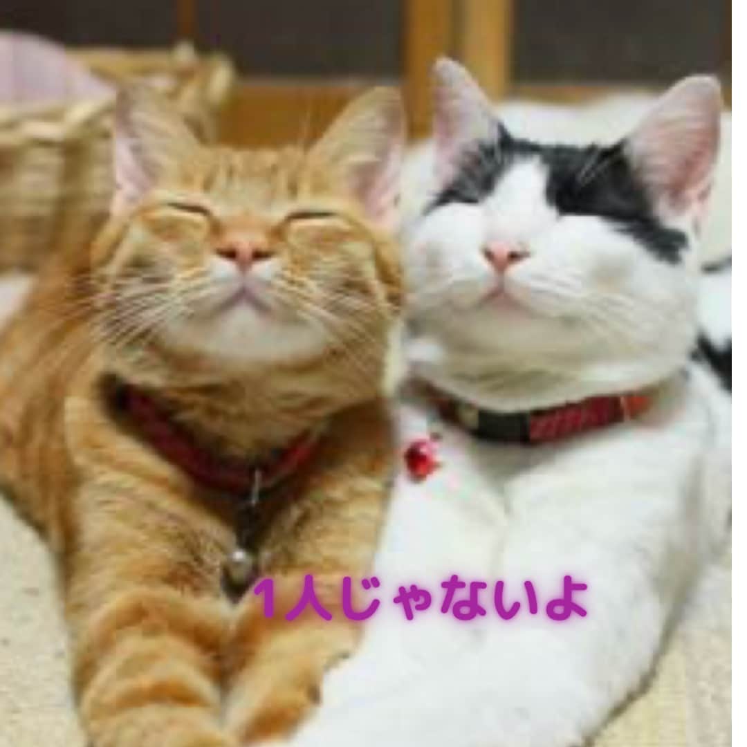 ダイエットだけじゃない。相談相手になります ダイエットも人生相談経験豊富。全力サポートします。 イメージ2