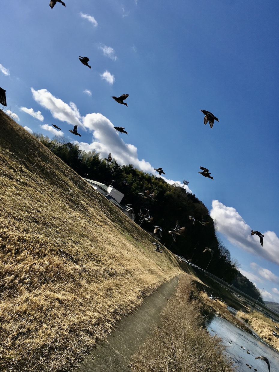 上手く言えないその気持ち、話すとスッキリします 「どう話したらいいかわからない」そう、そこから始めましょう イメージ1