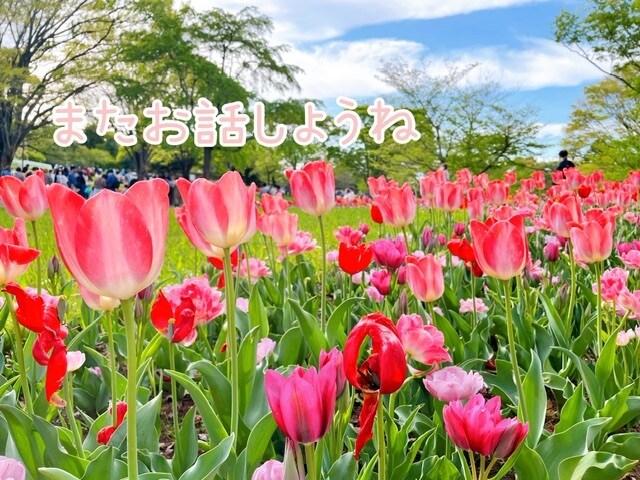 愚痴、悩み聞きます 疲れちゃった方話してホッとしませんか？お気軽に連絡ください♪ イメージ3