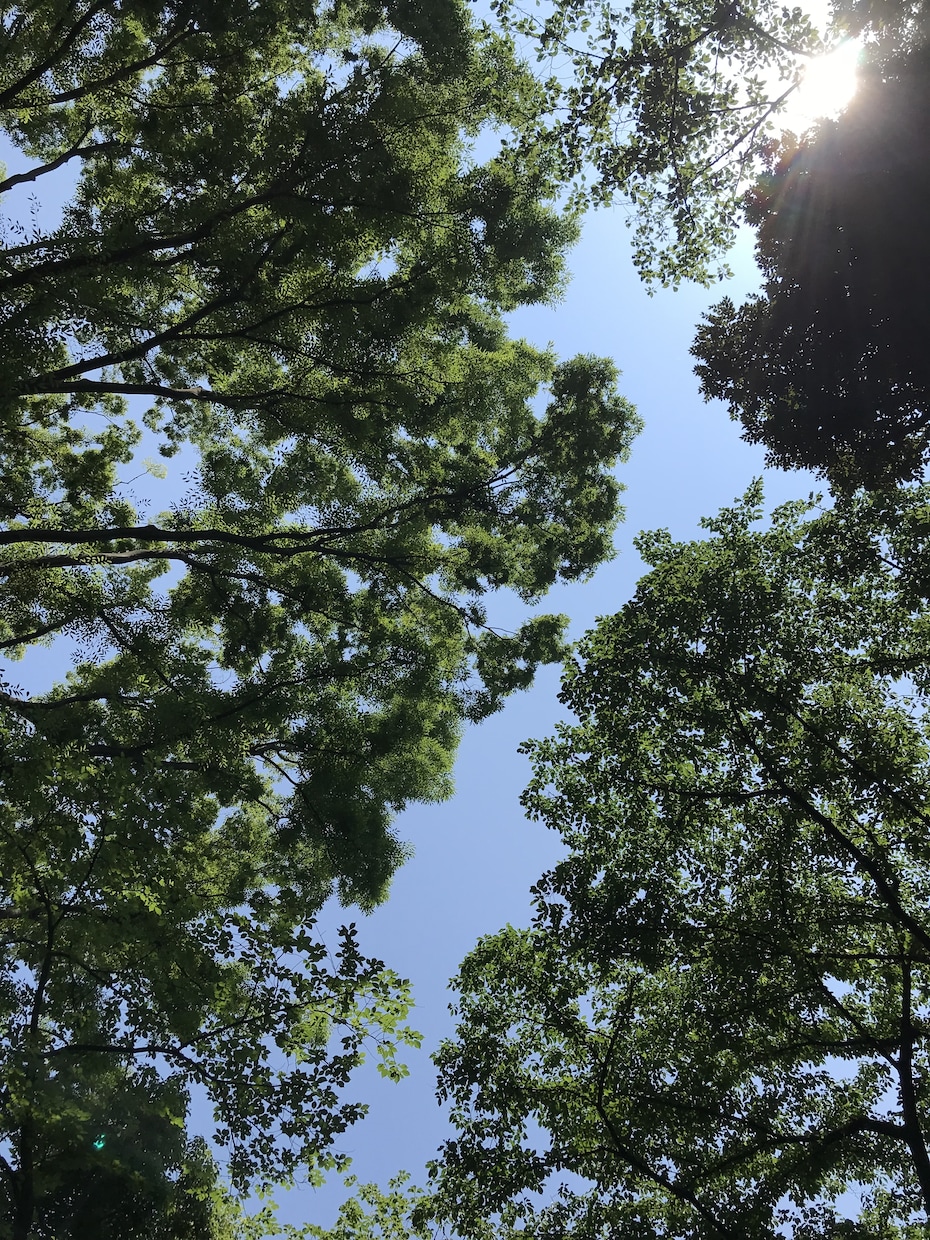 今日より明日を少しでも穏やかに、心の浄化いたします 恋愛や家庭の悩みを吐き出してください イメージ2