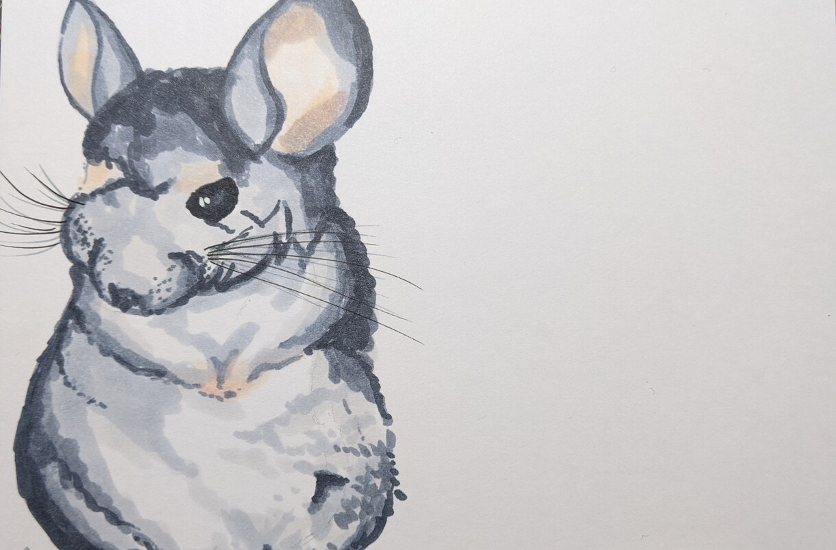 大切なペット様のイラスト描かせていただきます デジタル、アナログ可！大切な瞬間をイラストにしませんか？ イメージ4