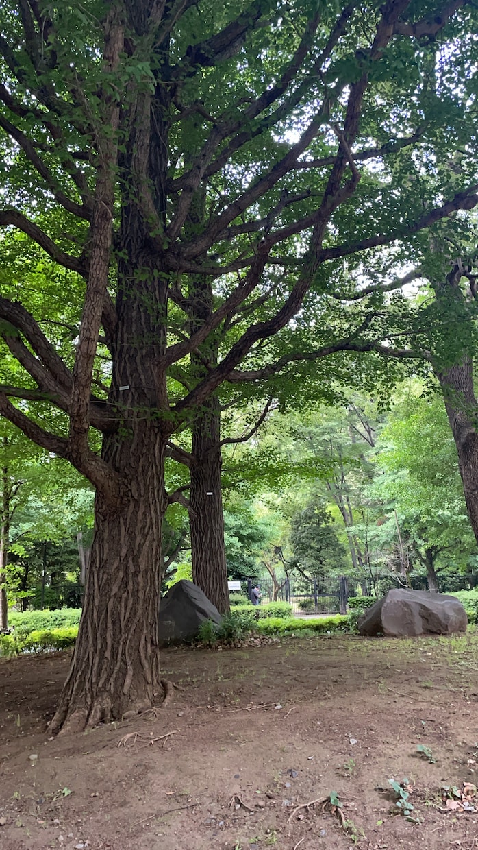 お相手とあなたの相性を占います 生年月日が必要ですのでご了承ください。 イメージ2