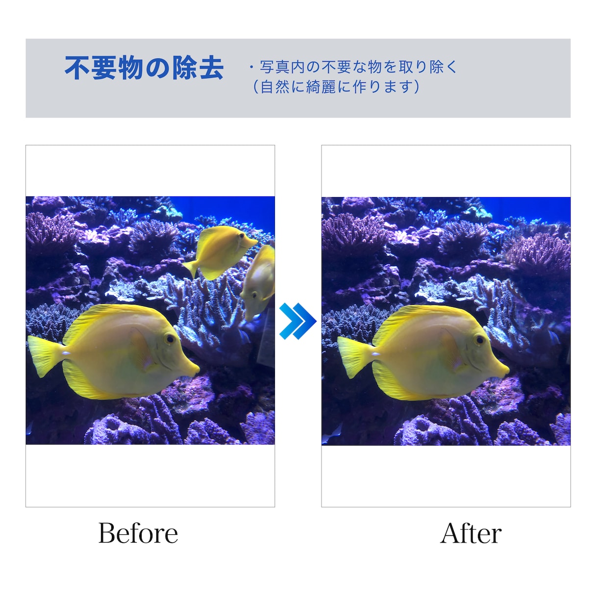 即納品可！現役レタッチャーが画像レタッチ対応します 人物・商品・風景など幅広いジャンルに対応します イメージ6