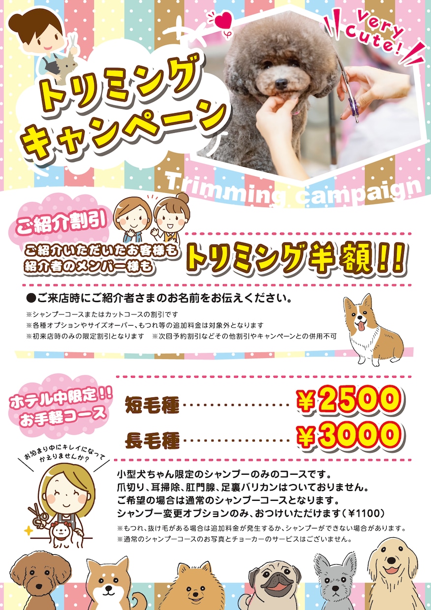 シンプルなPOPを安くご提供いたします 簡単なものをリーズナブルに作ってほしい！という方必見！ イメージ7