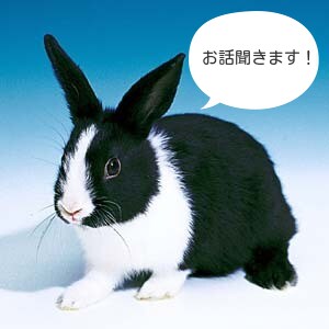 誰かと話したい方、短時間でも長時間でもお話聞きます 愚痴でも相談でも雑談でもただ怒りをぶつけたい人でもOKです！ イメージ1