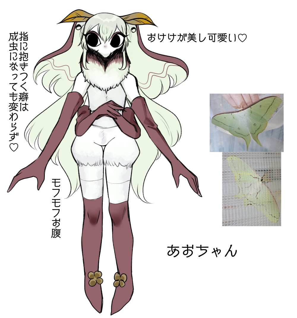 あなたの推しを擬人化します あなたの推している動物や物等なんでも擬人化します イメージ5
