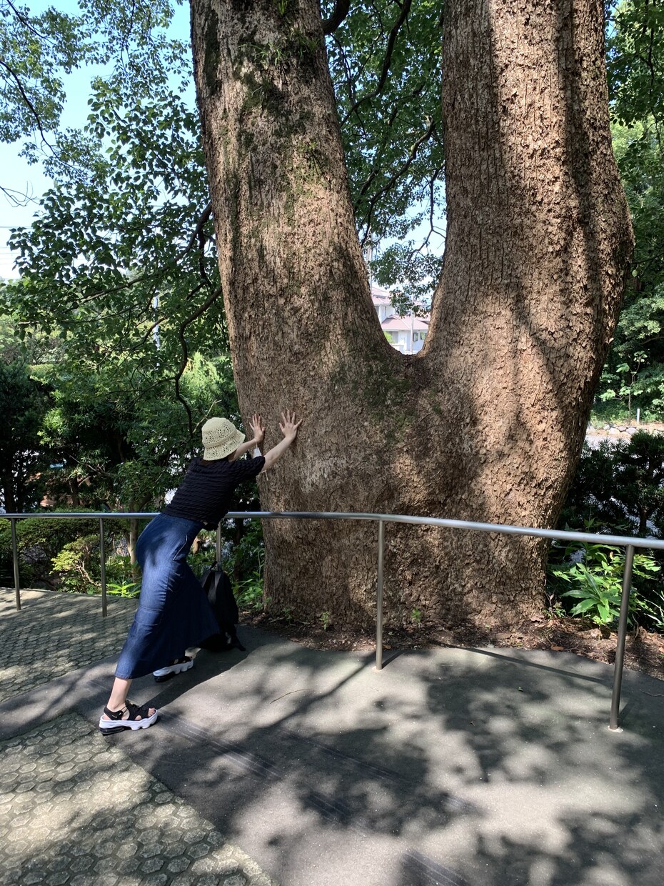 現役ナース♪お話し聞きます α波ボイスで癒します♪お試し5分〜長電話もどうぞ♪ イメージ2