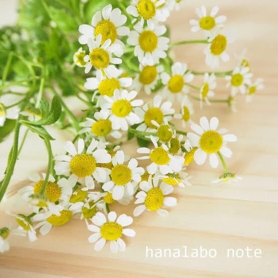 あなたの心のもやもや解消します 心のサポート致します⭐️些細な悩みもまずは打ち明けよう！ イメージ1
