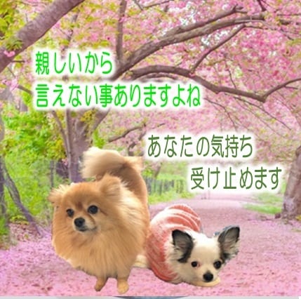介護現場で働いている皆さんのお話し何でも聞きます 介護現場の愚痴や相談、何でもお聞きします イメージ5