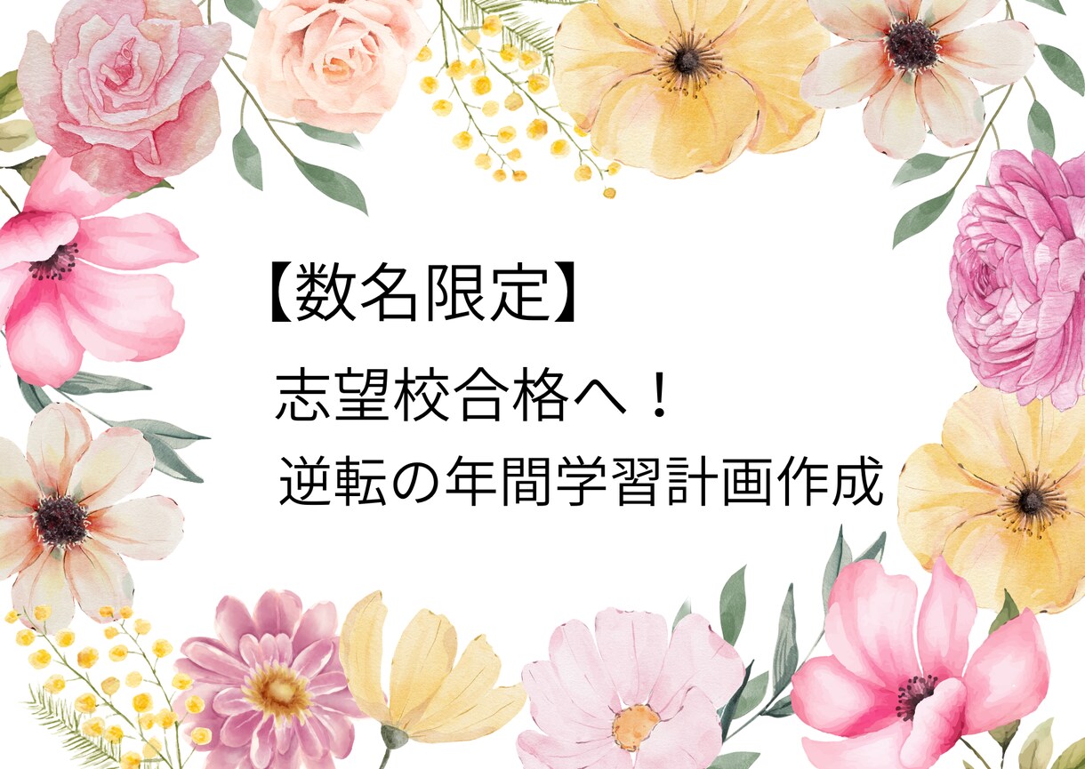 合格に導くための大学受験の計画立案と相談を行います 慶應卒プロ講師が受験の計画相談を行います　行政書士受験生も可 イメージ2