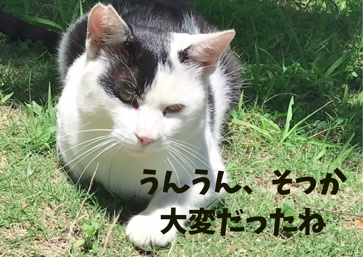 ちょっとだけ今すぐ話＆愚痴聞いて～をお聞きします ◆その日のモヤモヤ＆イライラは伝えることで即解消しましょう！ イメージ2