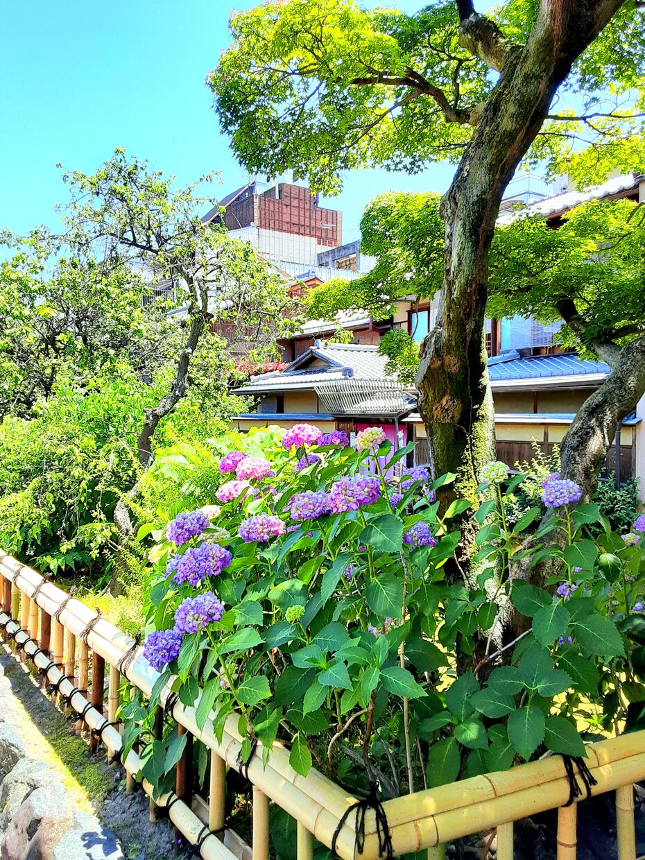 京都の四季の写真提供しています 京都の何気ない風景や四季の風景写真 イメージ1