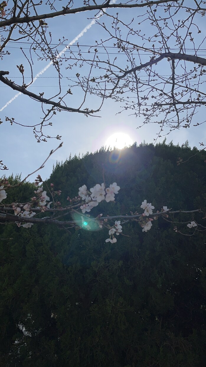楽しい人生へと導くお手伝いをします 心の声に気づき幸せな毎日を送れるように背中を押す人です♡ イメージ1