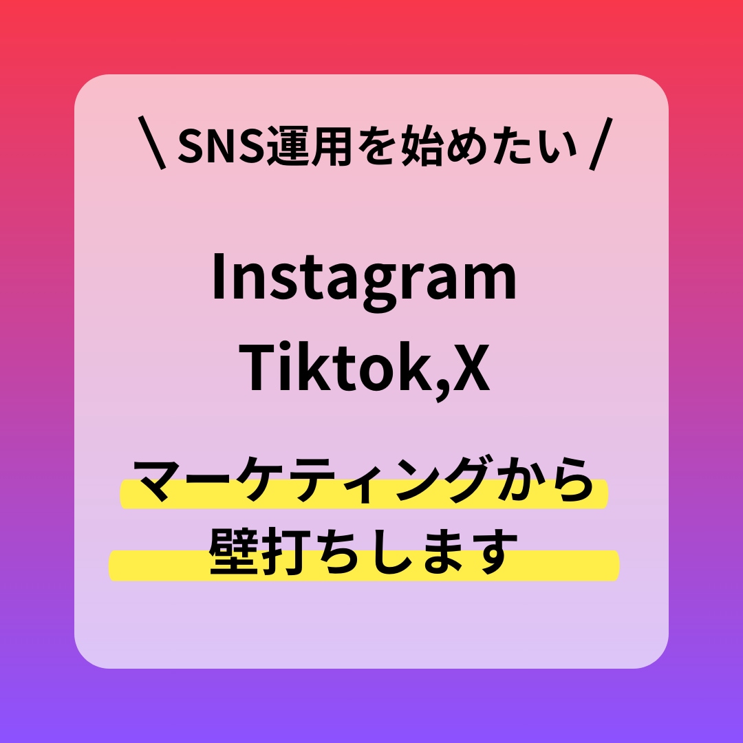 SNSマーケティング・運用の壁打ちをします プロのSNS戦略・マーケティングリサーチ関連アドバイス イメージ2