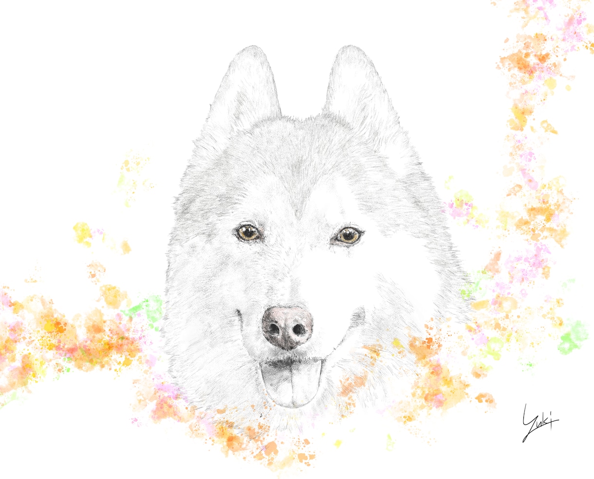 愛犬の似顔絵を、お気に入りの写真を元に描きます 鉛筆のようなタッチと不思議エフェクトで描かせていただきます イメージ3
