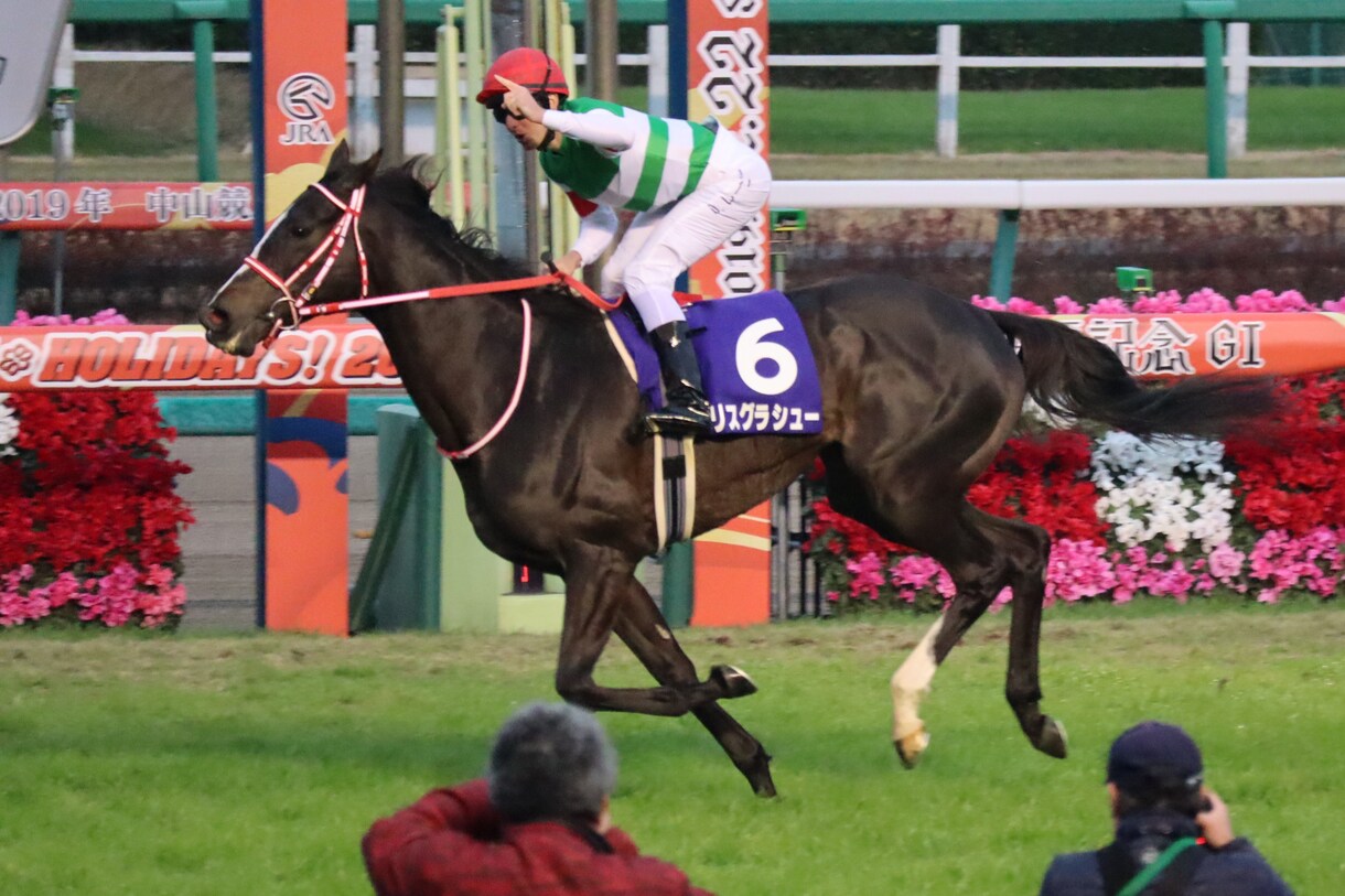 毎週競馬の穴馬など有力な情報を流します レースごとに来る確率が高い馬を提供させてもらいます イメージ1