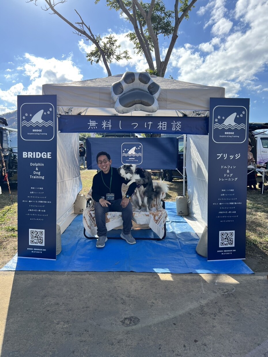 懐かない野犬(保護犬)が家族になるサポートをします (水族館で多くの野生動物経験を、野犬のしつけに活用) イメージ5