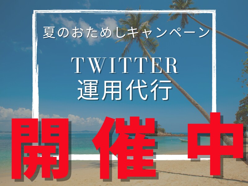 激安！プロが15日間Twitter運用代行します 今、一番もとめられているTwitter運用代行サービスです。 イメージ1