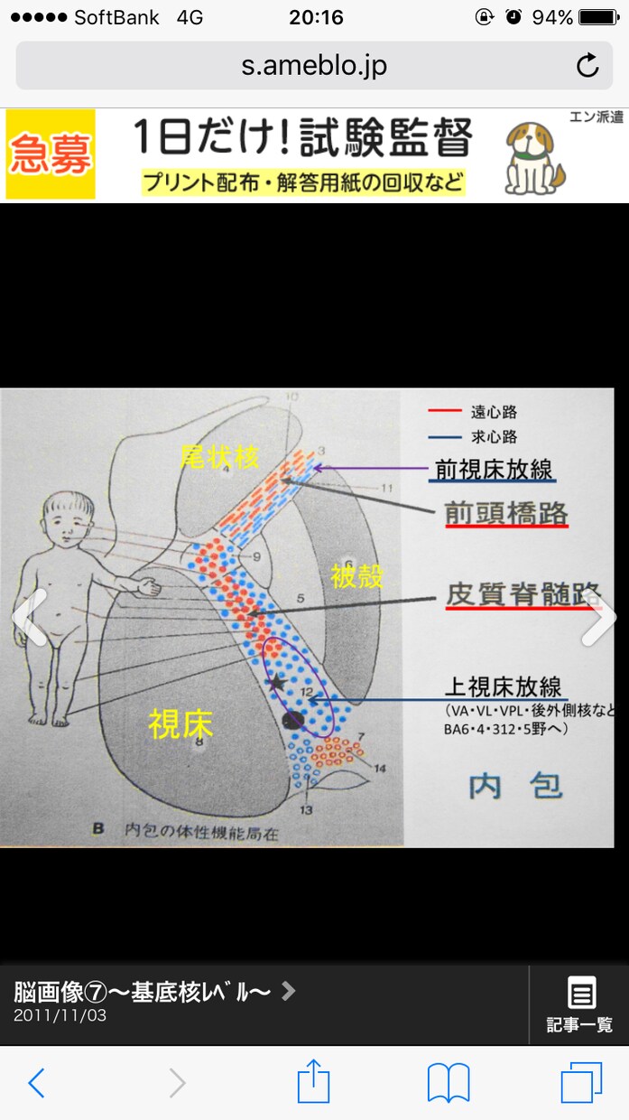 医療大学首席卒業者が、捗る勉強法を教えます これなら分かる！『どう学ぶか』その手順と方法！ イメージ3