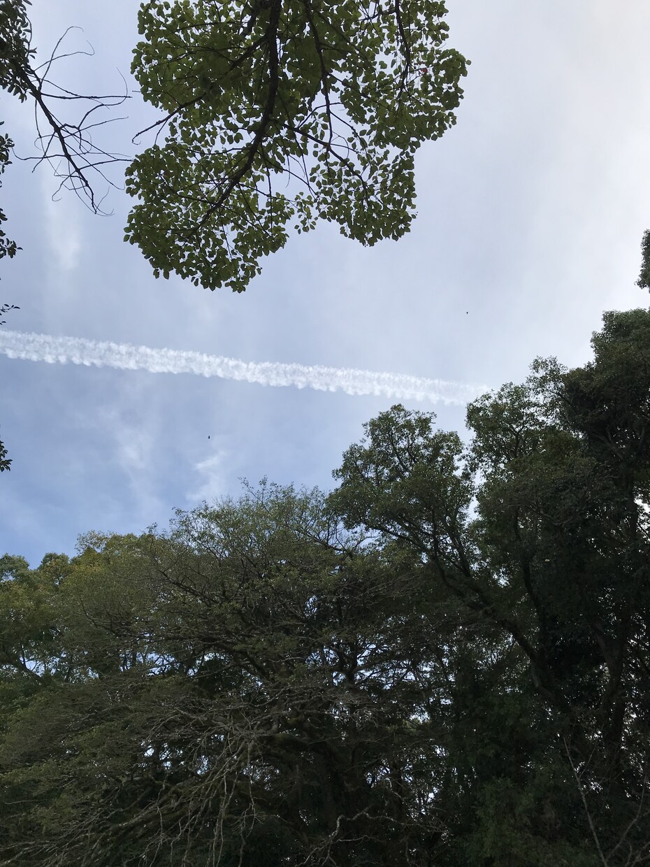 あなたのお悩みを解決します カウンセリングが得意のタロット占い師があなたのお悩みを解決！ イメージ1