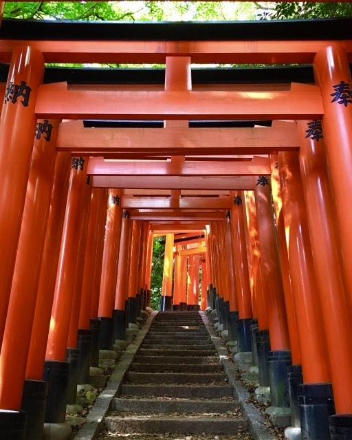 あなたの産土神社と鎮守神社をお探し、縁を結びます 「もっと早く知りたかった！」と感謝の声続出の開運神事鑑定 イメージ8