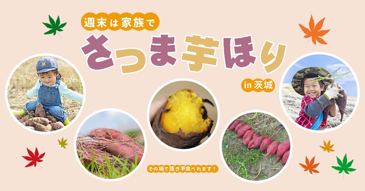 シンプル、伝えるをモットーにデザインします 満足いただけるまで、希望に沿ったバナーを作成します。 イメージ1