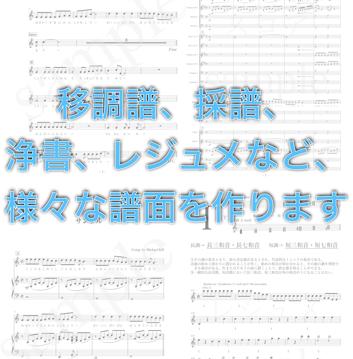 移調譜、採譜、浄書など、様々な譜面を作ります 10年以上のFINALEの経験を生かして綺麗な譜面を作ります イメージ1