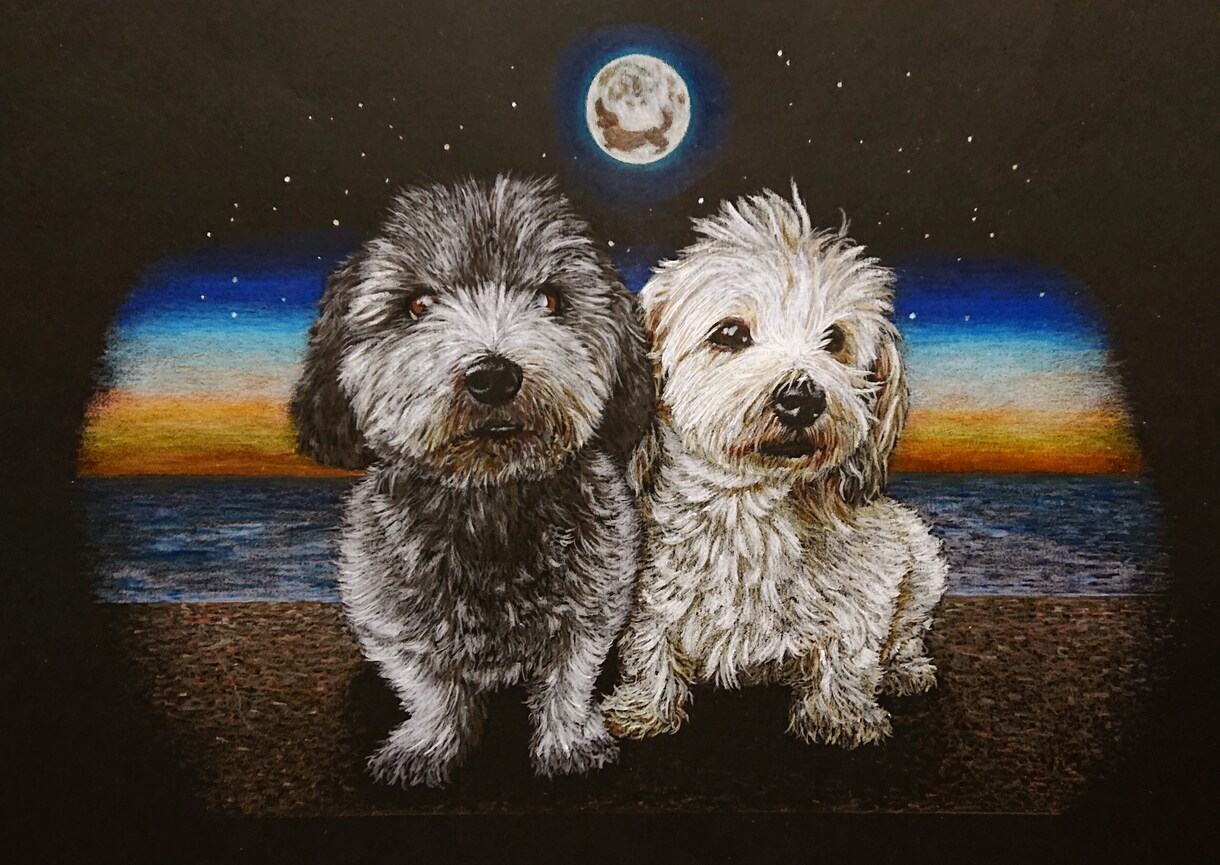 色鉛筆でリアルなペットの絵をお描きいたします リアルで力強く、かつ優しいペットの絵の原画をお送り致します。 イメージ5