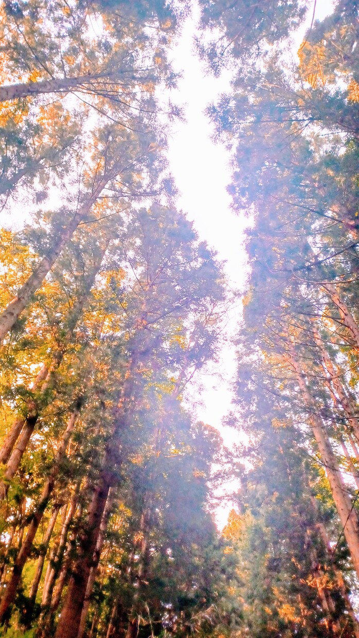 自律神経による体調の悪さ、私が優しく聞きます 手足の冷え、感情の起伏、夜寝付けないなど イメージ3