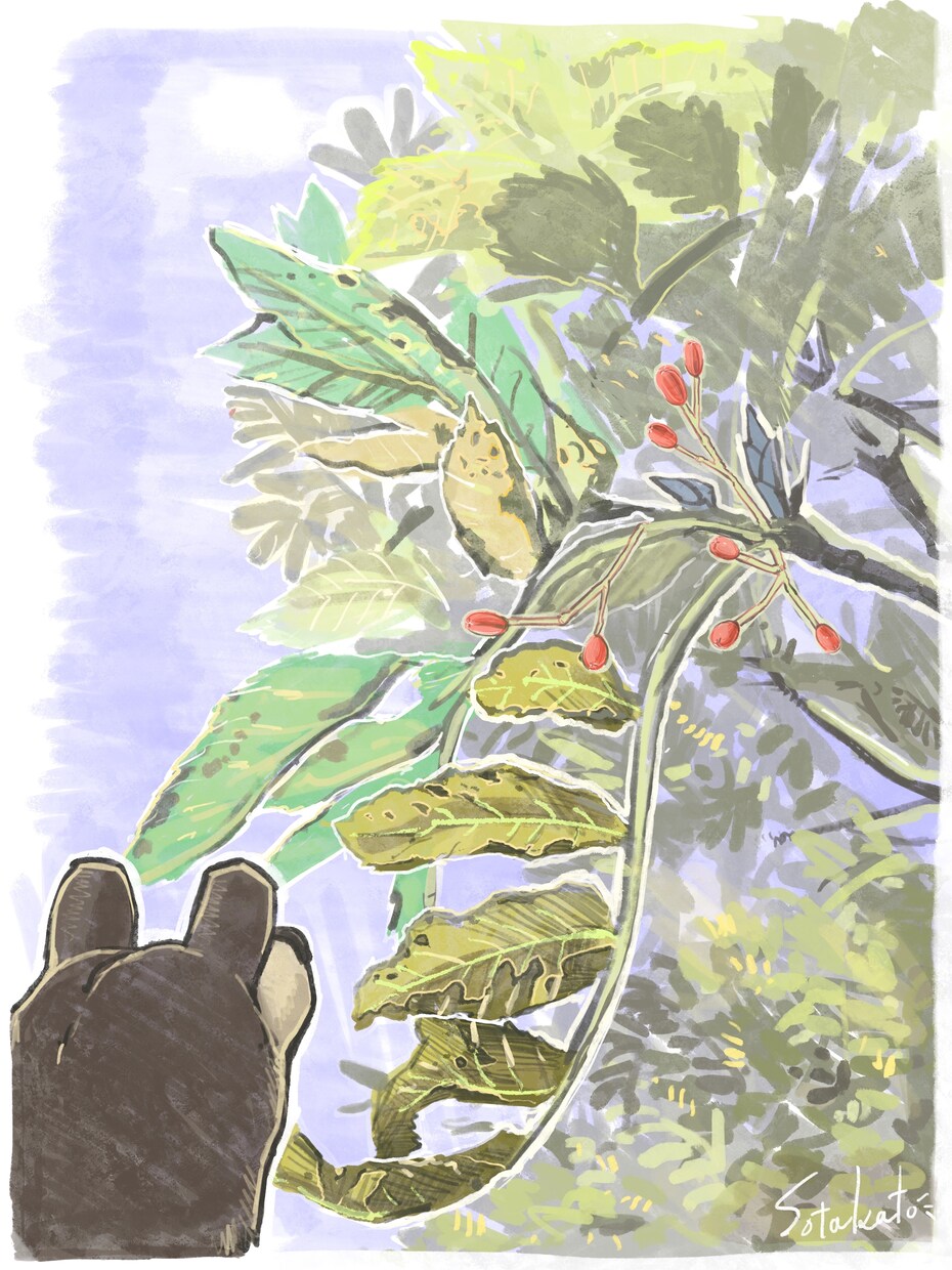 動物や自然のイラスト制作致します 自然のイラストを置くことで、お店の雰囲気や、空間に温もりを！ イメージ5