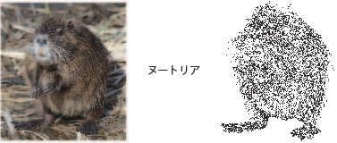 リアルタッチの動物アイコンかきます 爬虫類もいけます。写真通りにかきます。 イメージ2