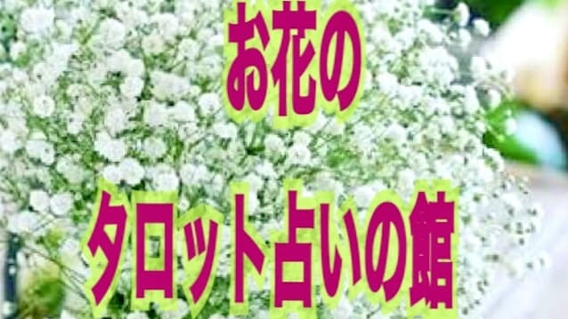 タロット・オラクルでお悩み解決します お時間合わせます。サクサクからじっくりまでご要望に合わせます イメージ2
