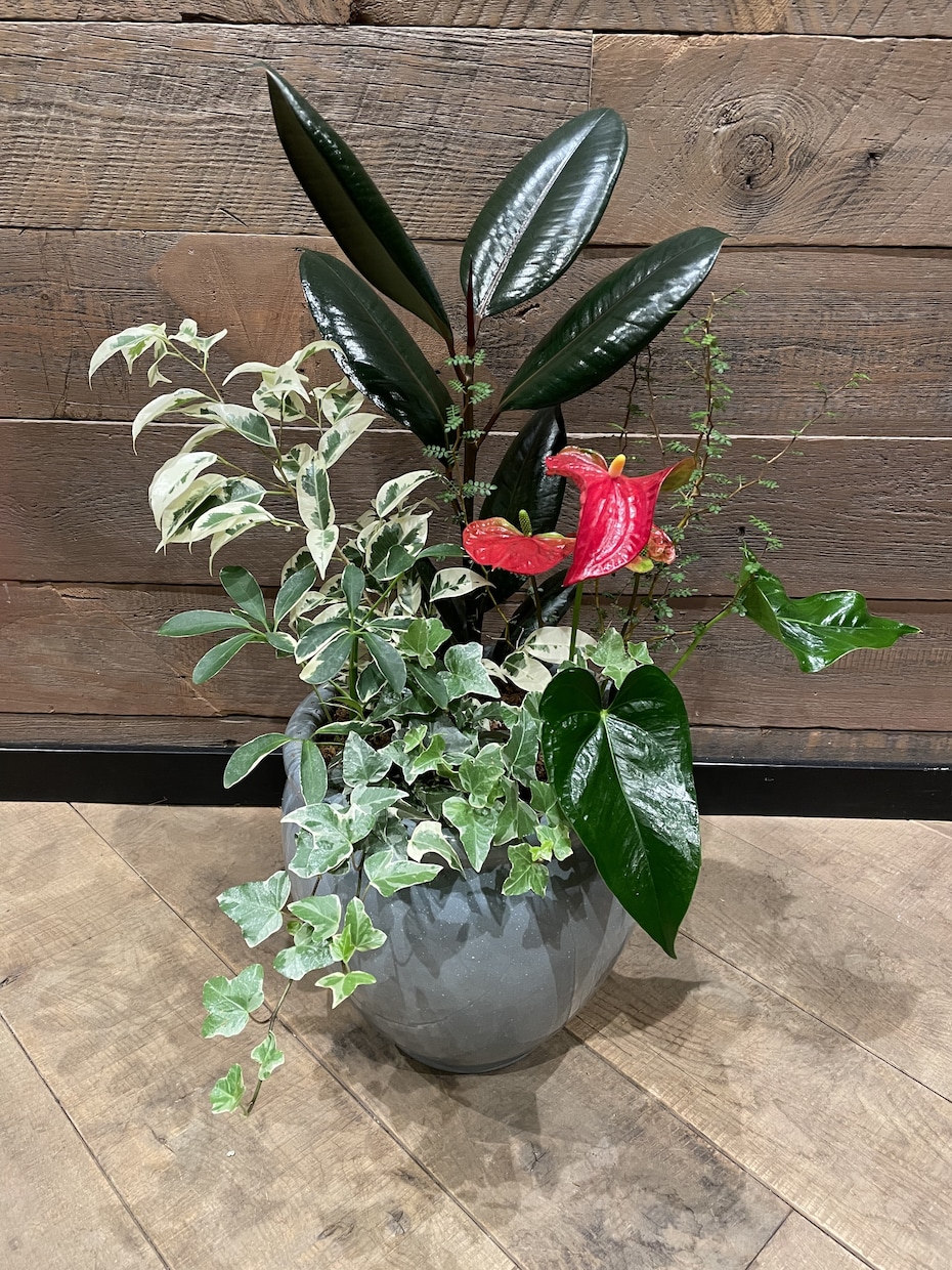 植物のレタッチ、切り抜き、加工出来ます 植物の写真の切り抜きやレタッチお任せ下さい。 イメージ2