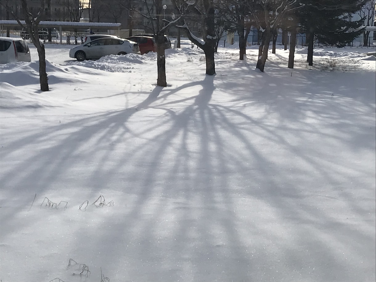 写真を思い通りにレタッチします 写真を思い通りの雰囲気に編集【同時に10枚まで】 イメージ5