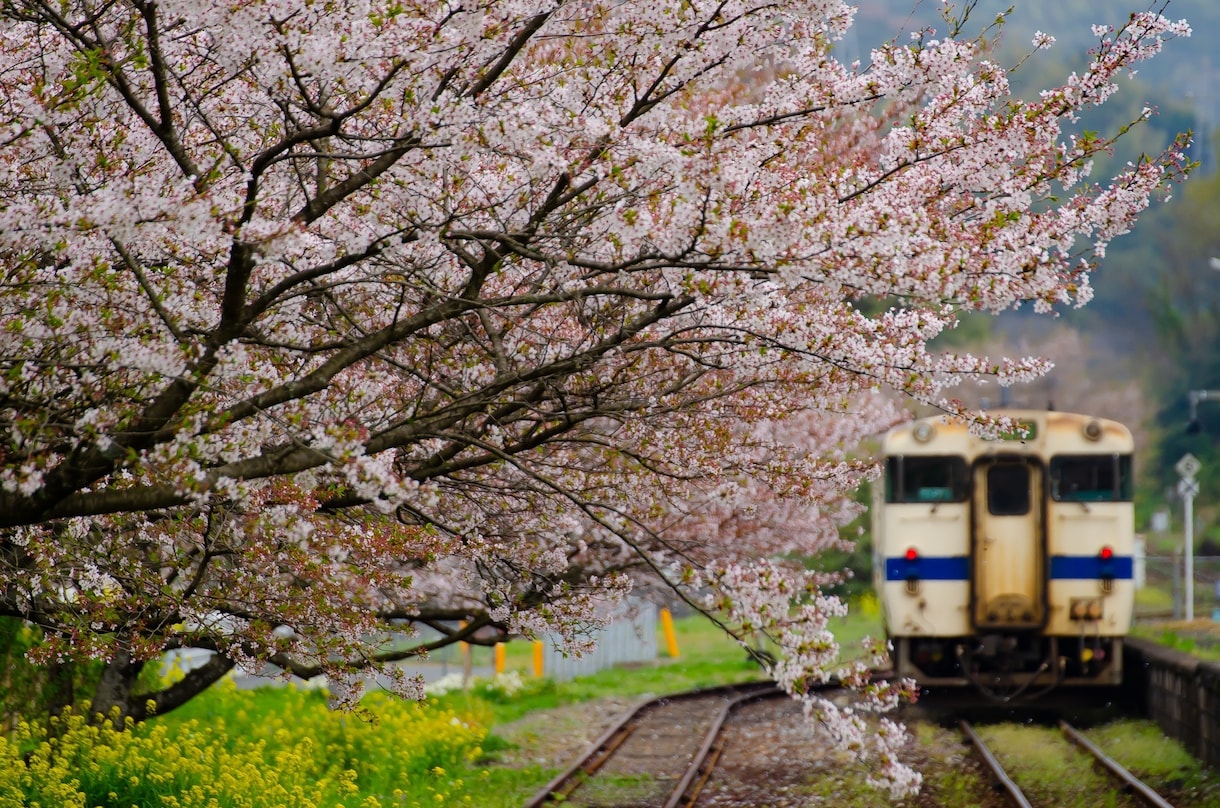 お客様のご希望に沿ったお写真お撮りします 乗り物、風景写真の撮影と編集を得意としております！ イメージ4