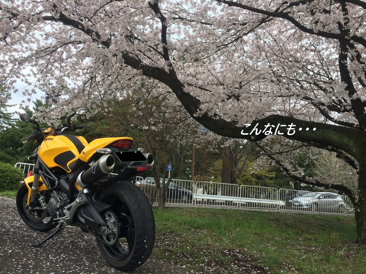 バイクの公道デビューをサポート・相談にのります 公道は不安、怖い…。から、早く乗って楽しみたい!になろー! イメージ1