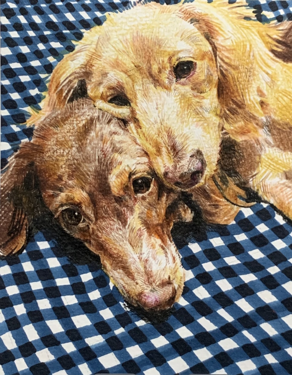格安！リアルな愛犬、愛猫イラストを描きます プレゼントやメモリアルイラスト、お部屋に飾るのにオススメ☆ イメージ1