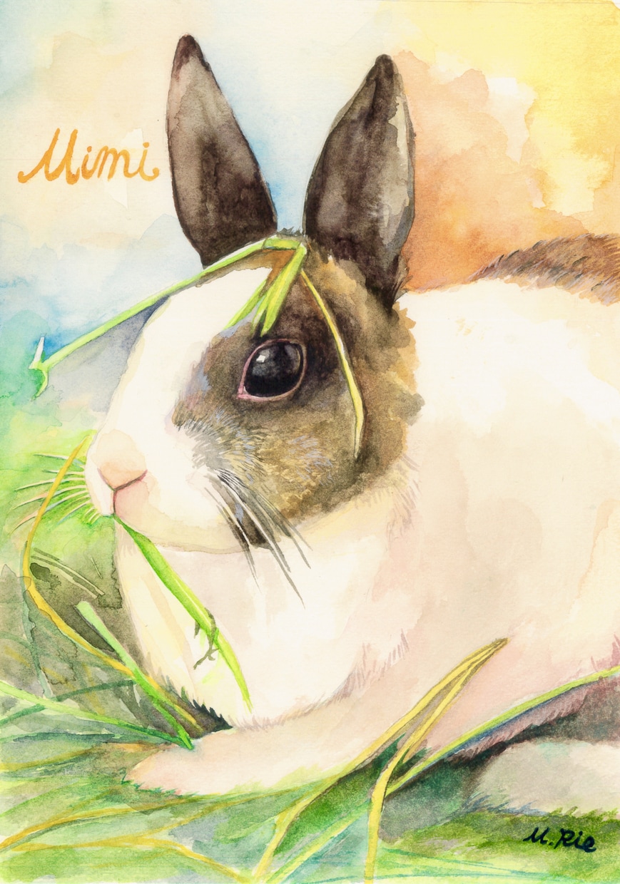 A5～A4サイズで動物ちゃんの似顔絵描きます 水彩でふんわり優しく♬.*ﾟ可愛らしい表情を描きます イメージ4