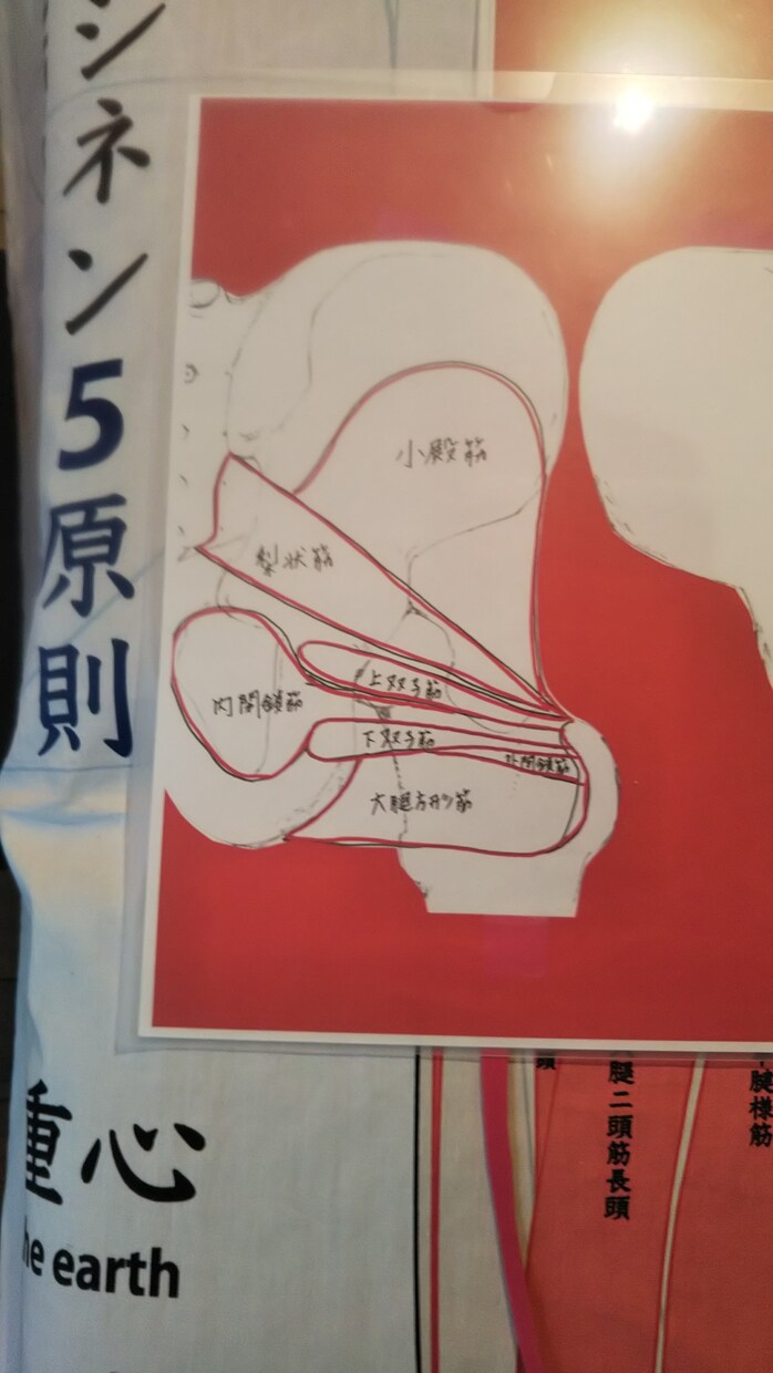 マッサージ講座を受けた情報を提供します マッサージセラピスト向けの悩み相談などお答えします。 イメージ1