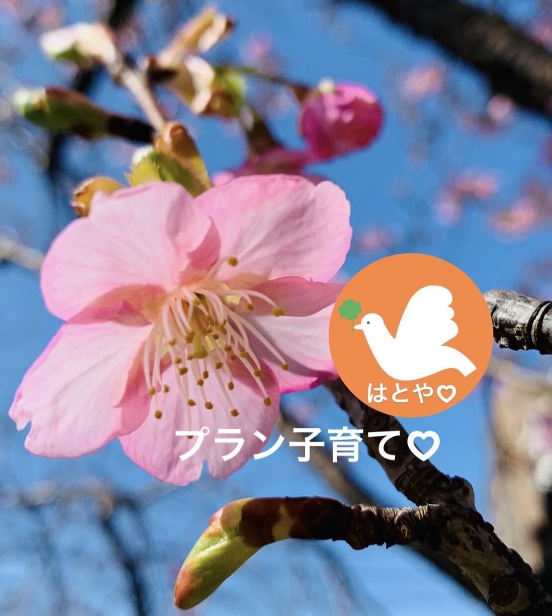 赤ちゃんや小さいお子さんを抱っこしながら話せます 赤ちゃんの寝てる間、お子さんが保育園に行ってる間に話しましょ イメージ8
