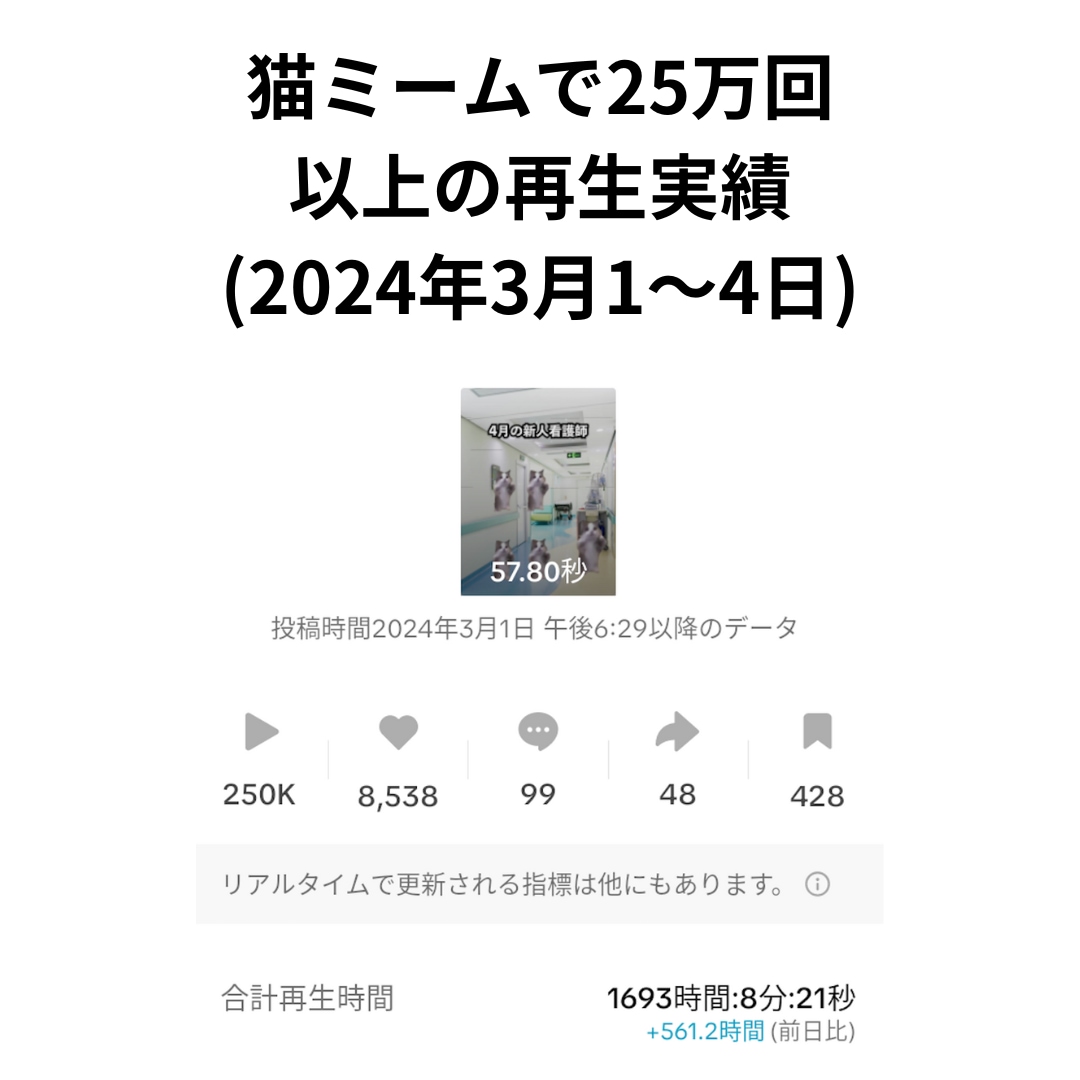 台本や素材集めも可｜ショート動画の動画編集します YouTubeショートやリール、TikTokの流行や猫ミーム イメージ2