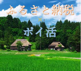 ふるさと納税×ポイ活 お得な情報をお知らせします 【価格以上の価値】ポイントを使ってお得に「ふるさと納税」！ イメージ1