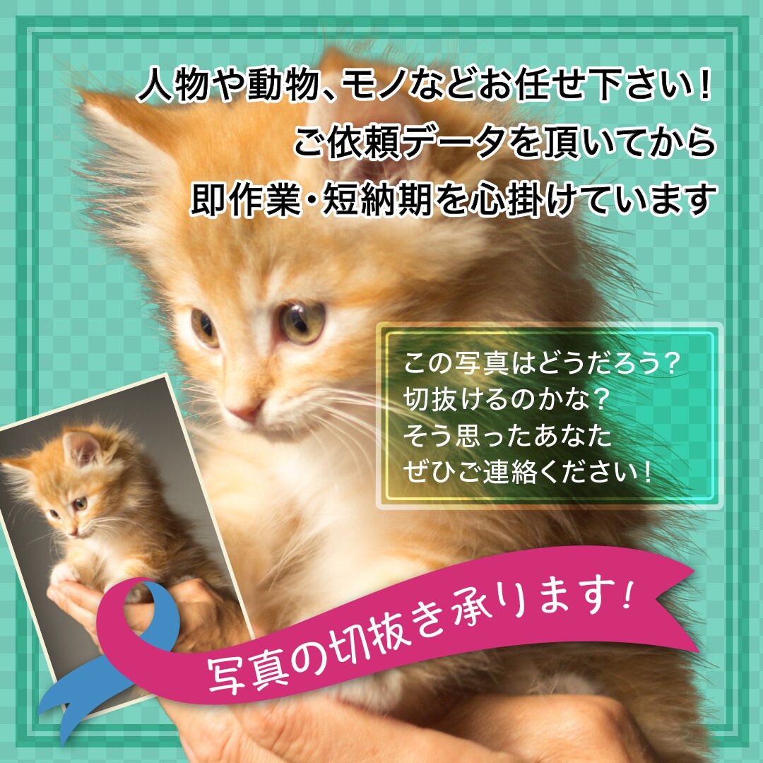 写真の切り抜き承ります 人物や動物、モノなどなんでも来いです！ イメージ1