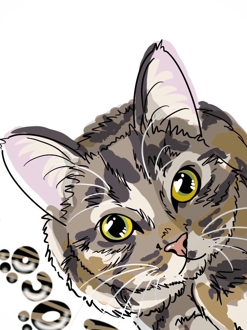 おしゃれポップな似顔絵描きます♡ます 格安♡SNS画♡愛ペットをおしゃれポップ似顔絵♡ イメージ3