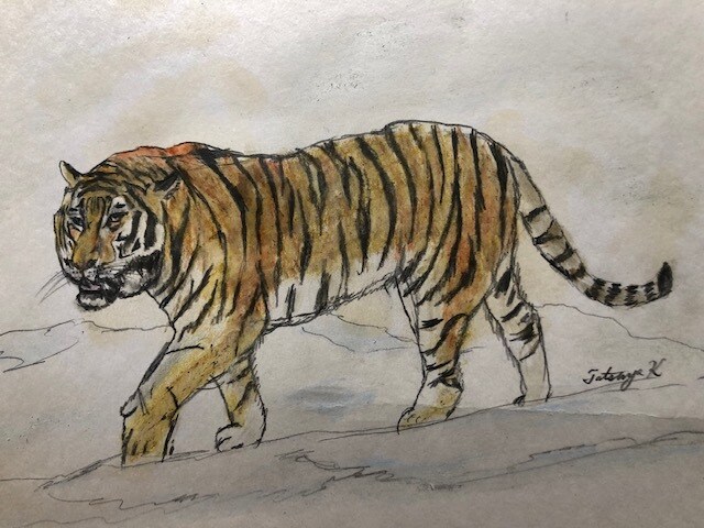 油彩画、水彩画、挿絵など依頼があれば何でも描きます 植物、動物、風景などが得意です。 イメージ3