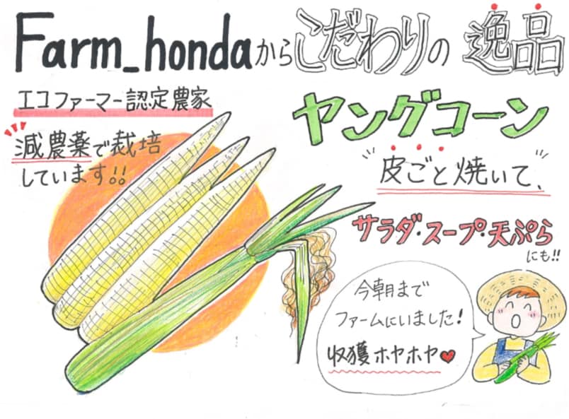 ココナラ最低価格より！楽しい手書きPOP描きます ⭐︎⭐︎【実績あり】楽しく明るいPOP描きます！⭐︎⭐︎ イメージ10