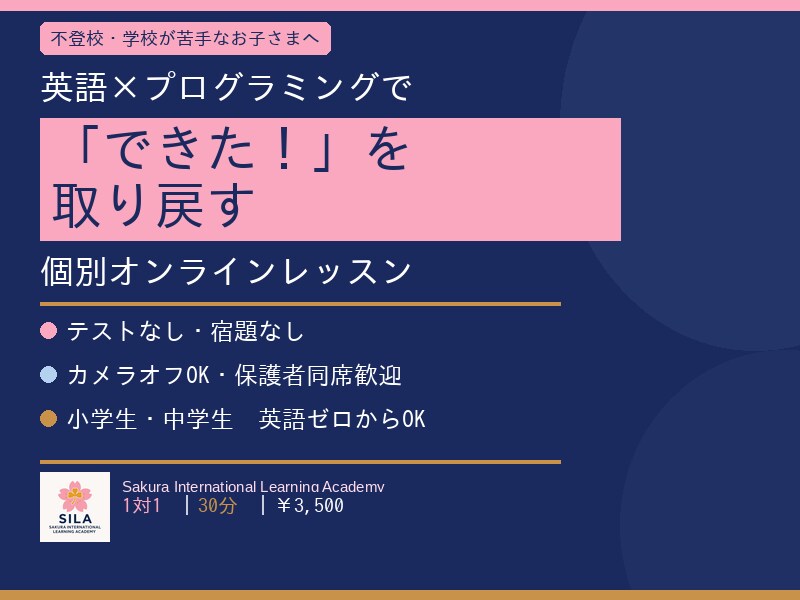 不登校・英語×プログラミング個別レッスンします テストなし・英語ゼロから・マンツーマン イメージ1