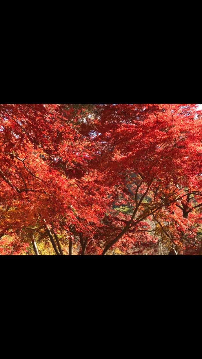大学院生女子が恋愛相談乗ります 彼女の本音.好きな女の子へのアプローチ一緒に考えます イメージ1