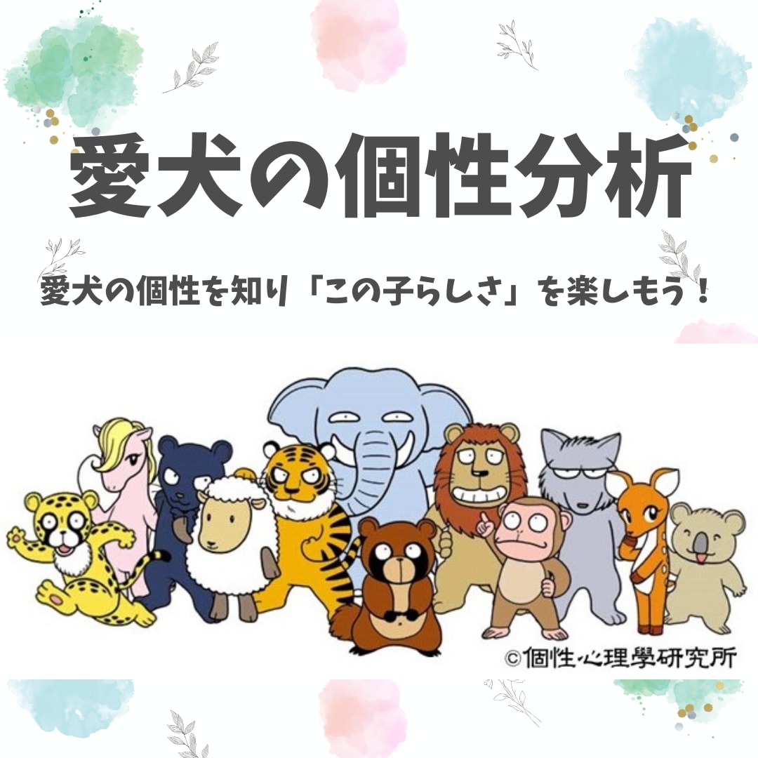 個性心理學の視点から愛犬の個性を楽しくお伝えします 愛犬の個性を知り、「この子らしさ」を楽しもう！ イメージ1