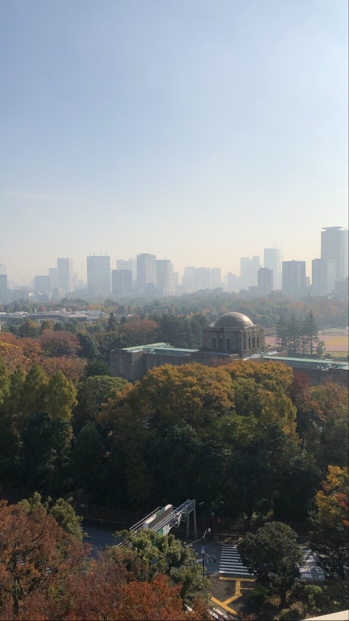 東京都内のデートプランご提案いたします あなたとお相手に最適のプランの提案、徹底サポート イメージ2